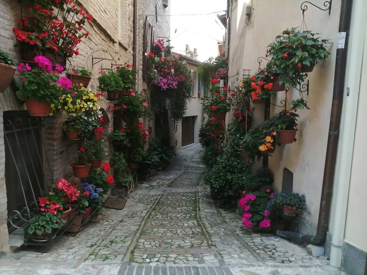 spello