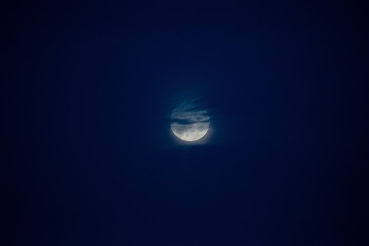 Blue Moon
