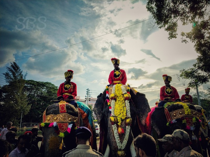 Royal elephants