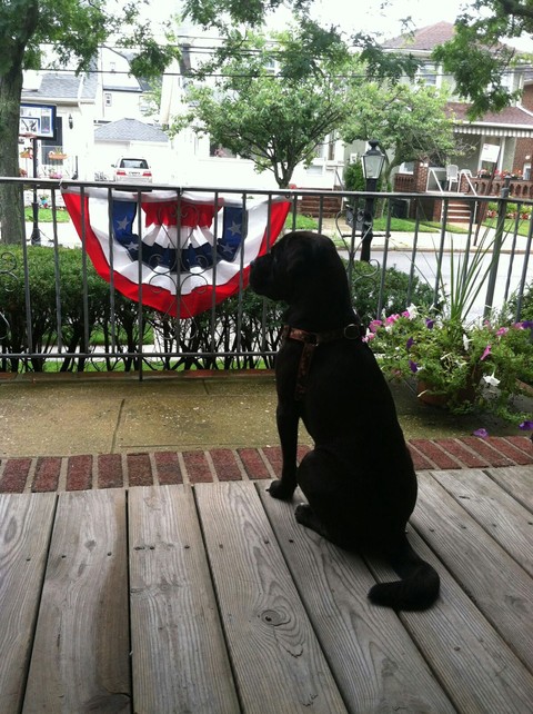 My Buddy