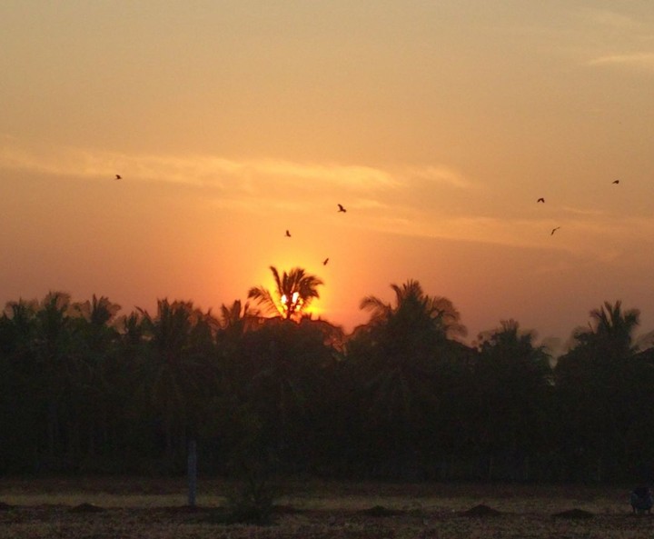 sunset