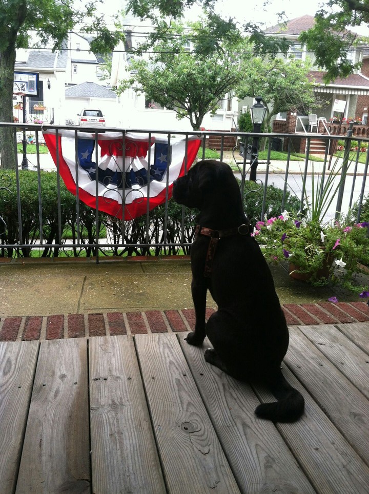 My Buddy