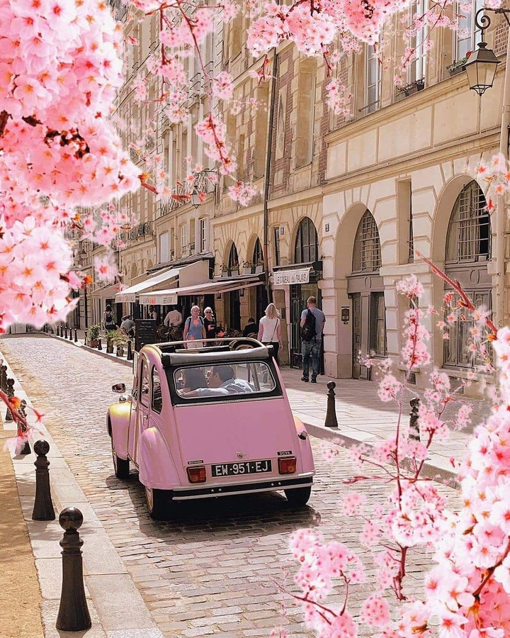 pink car