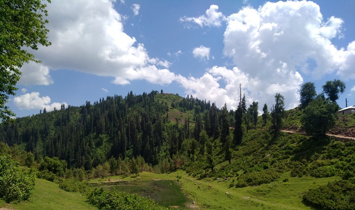 Mountains
