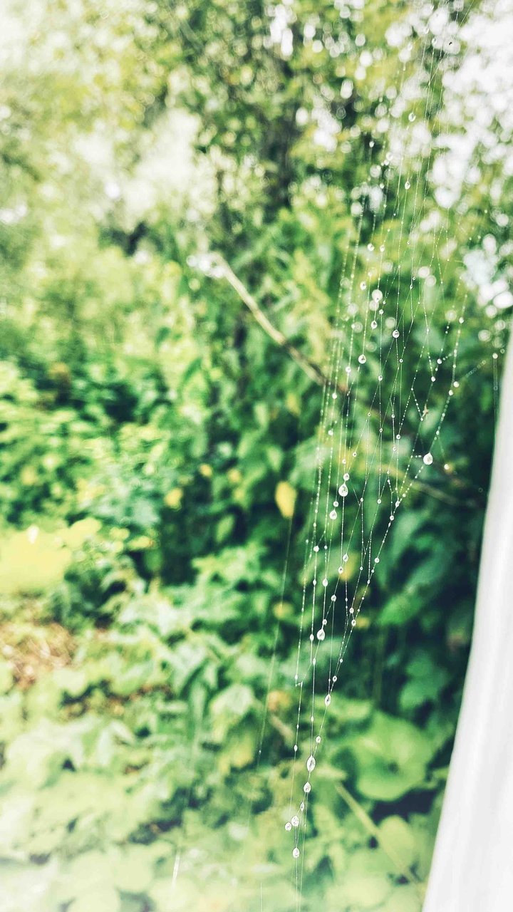 summer