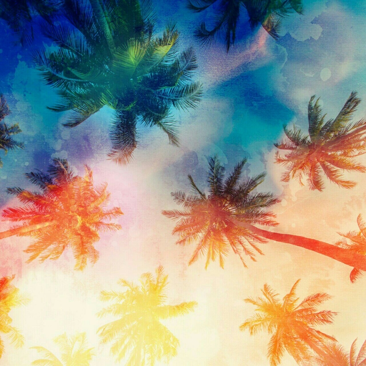 Palm paradise