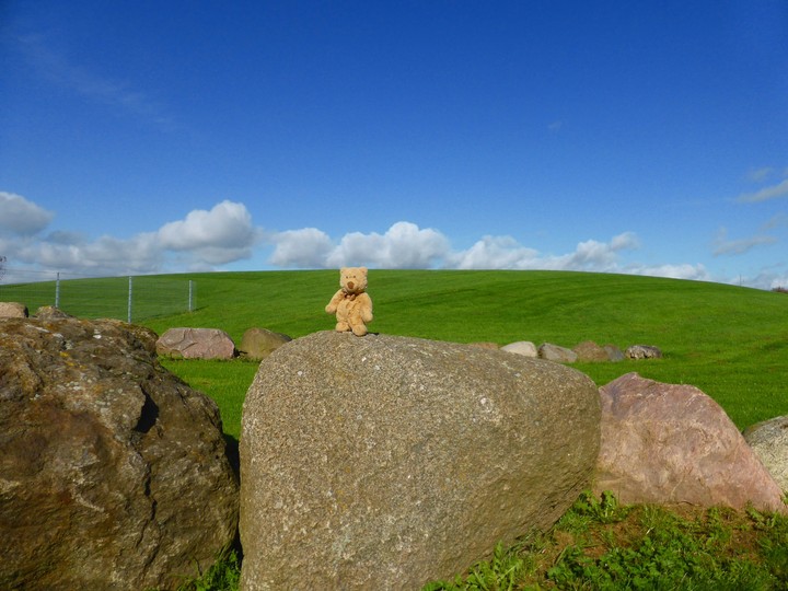 standing teddy bear