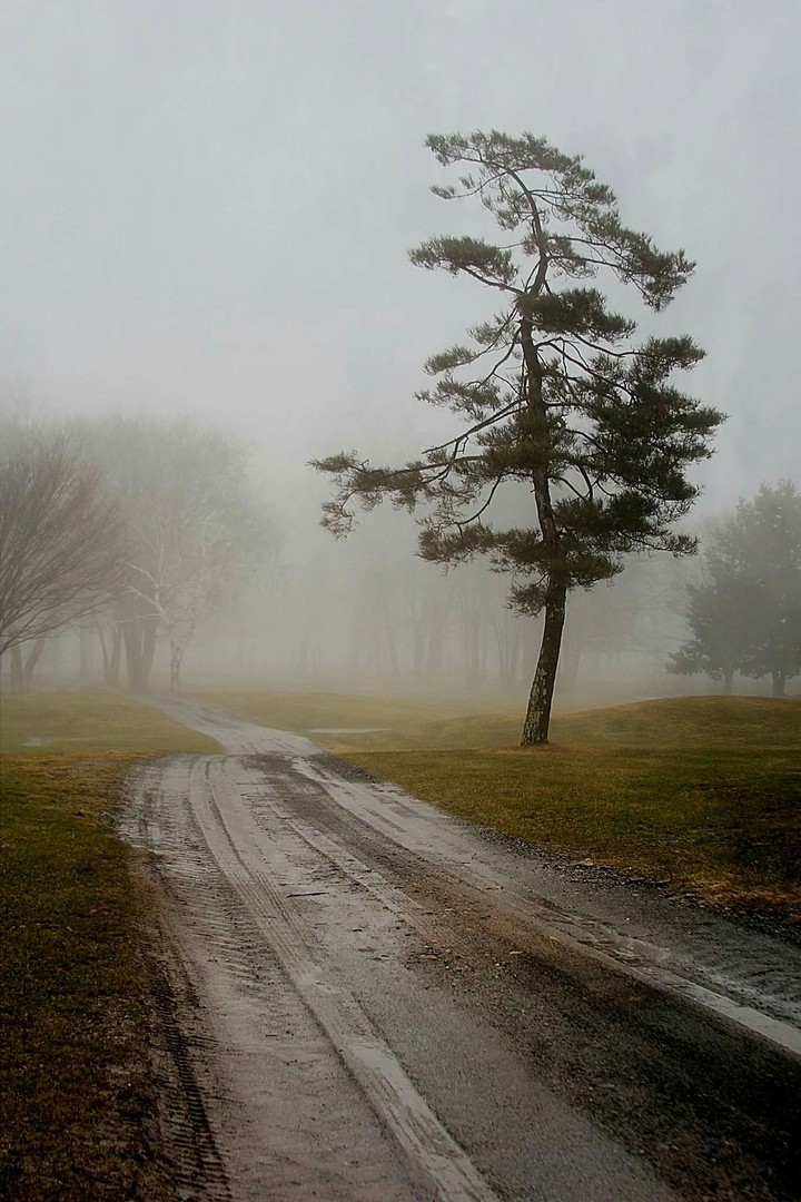 the long walk home