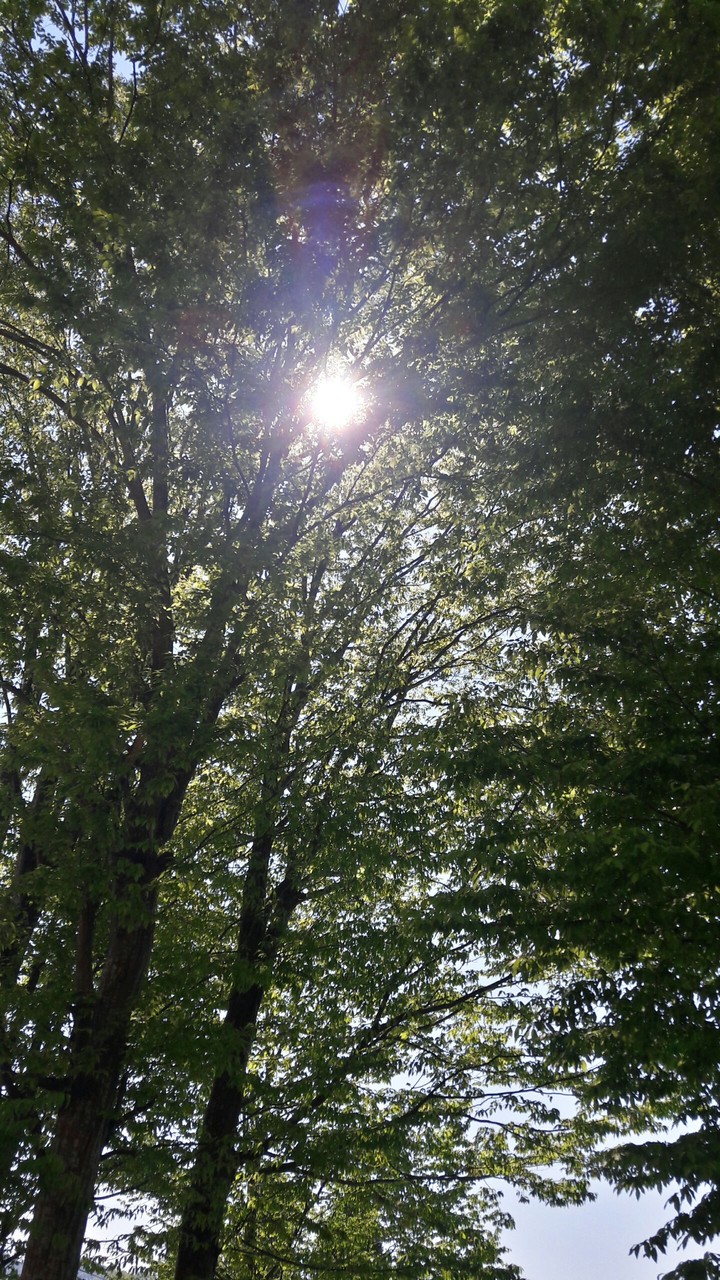 Spring..