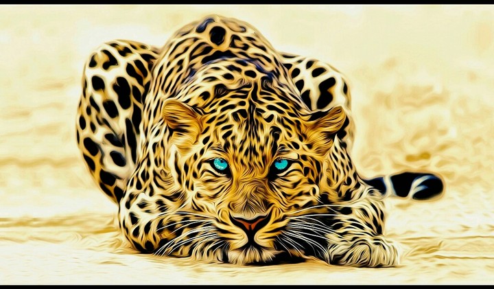 Leopard