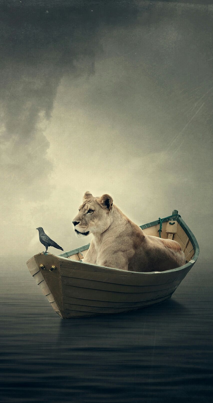 History in the ocean