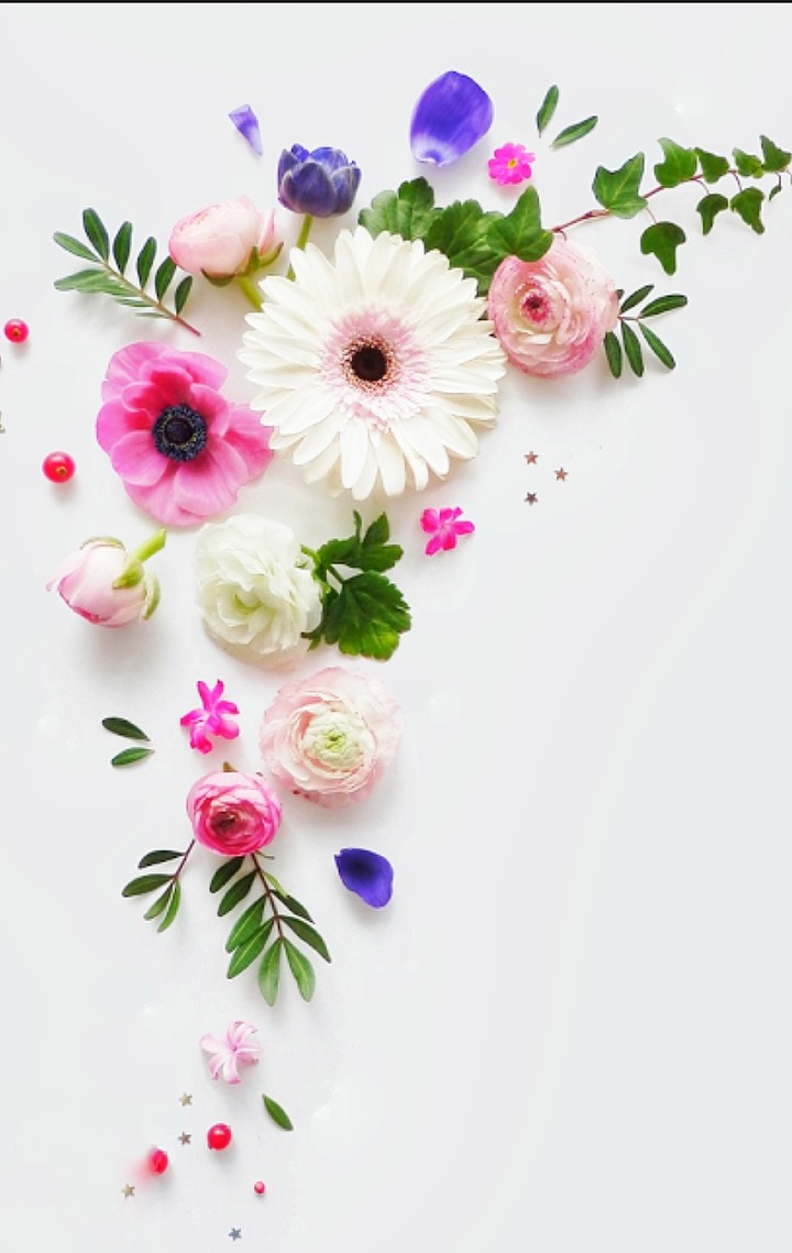 blossom