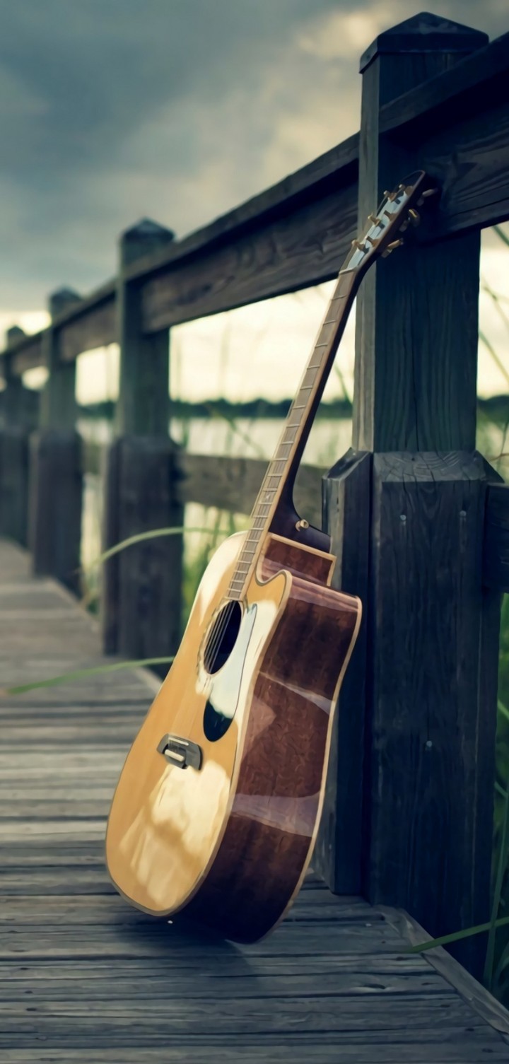 Guitar