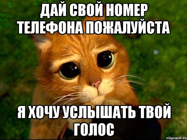 кот сапогах