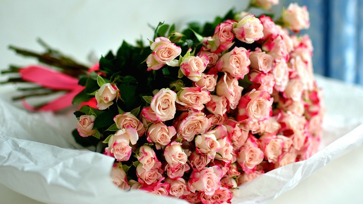 Dedicate to All .. !!