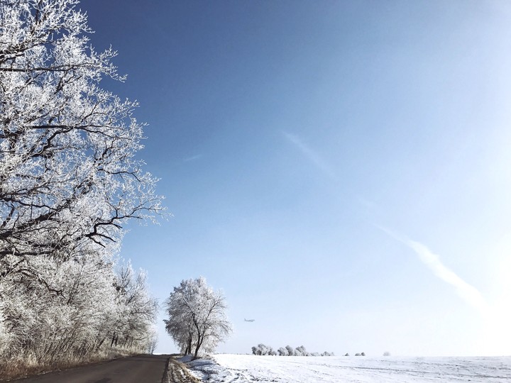 Winter dreams ...