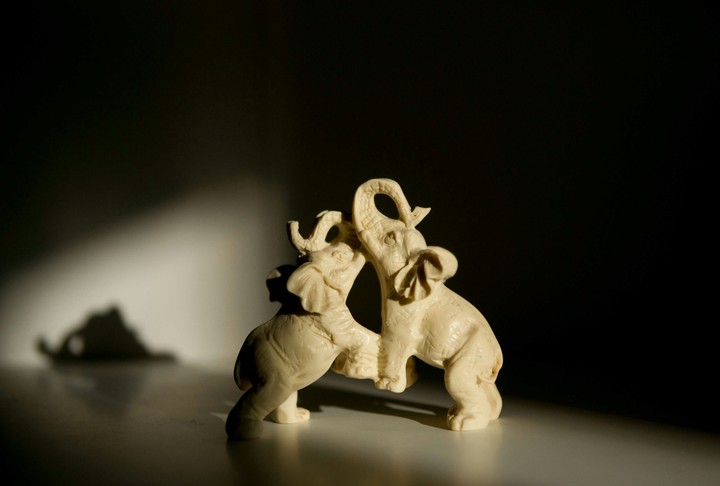 elephant's