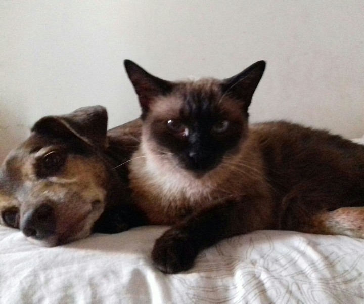 theo e lupe