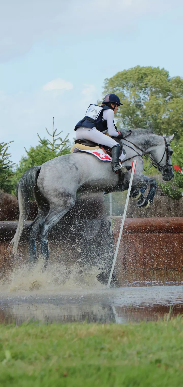 Nobal horsemanship