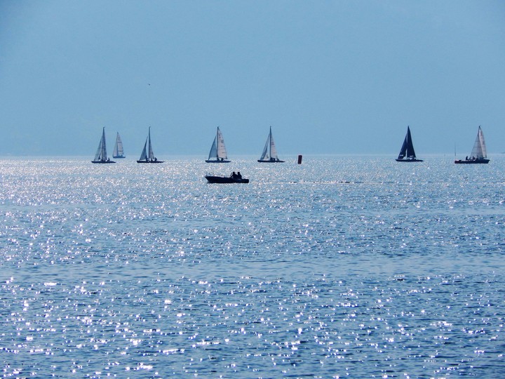 Navigando