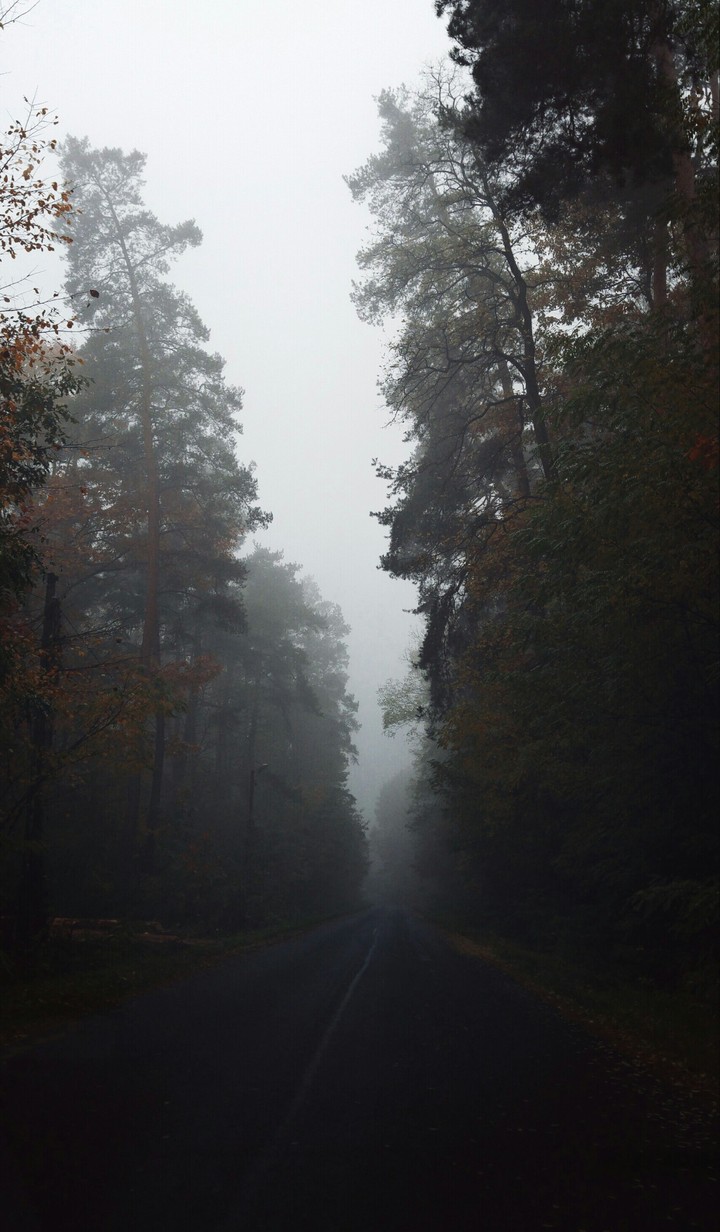 autumn has come