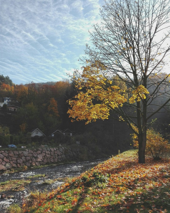 herbstsonne