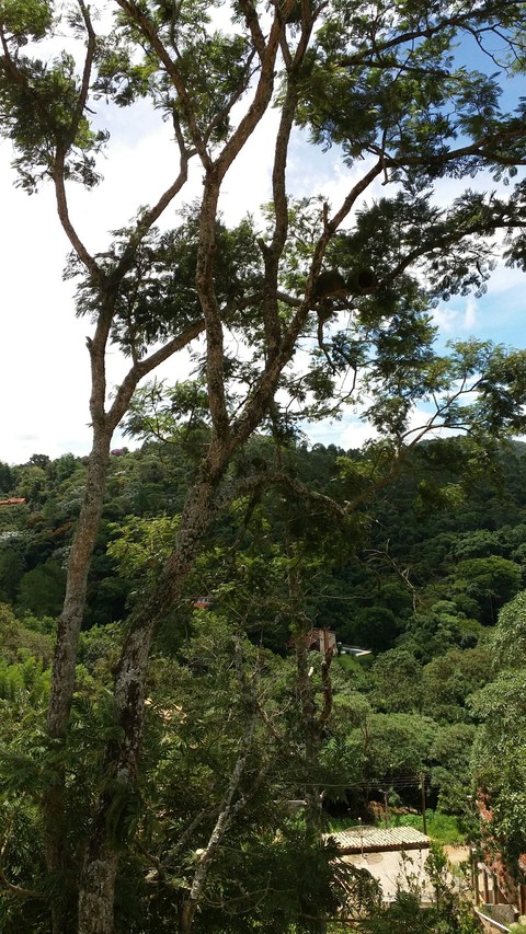 Verde e azul...
