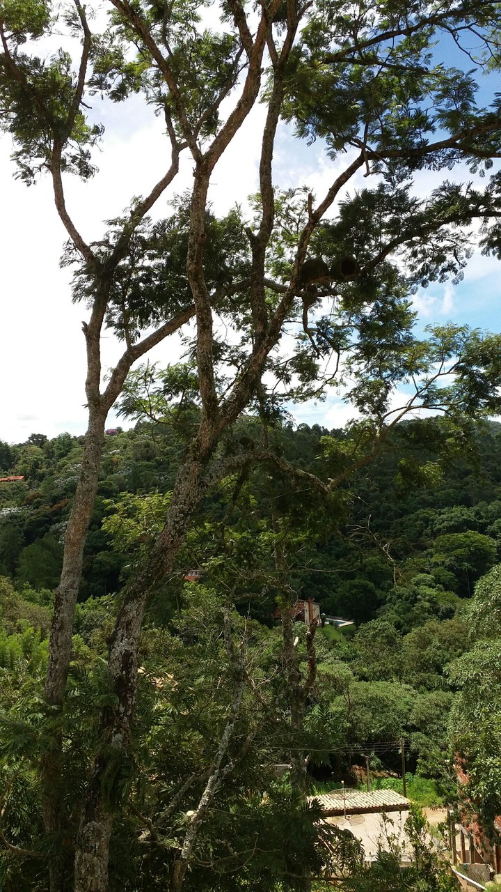Verde e azul...