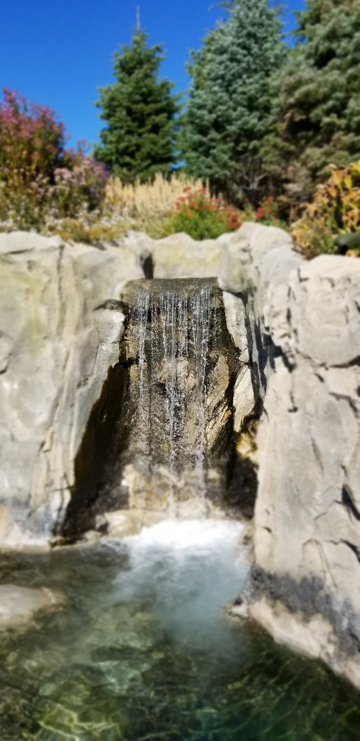 Hogle Zoo Waterfall