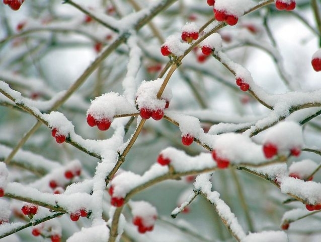 ❄️
