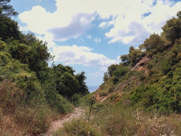 Wild nature