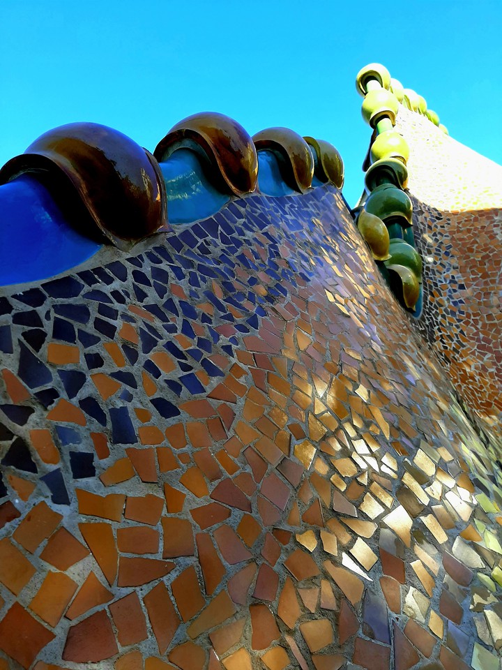Roof of Casa Batlló