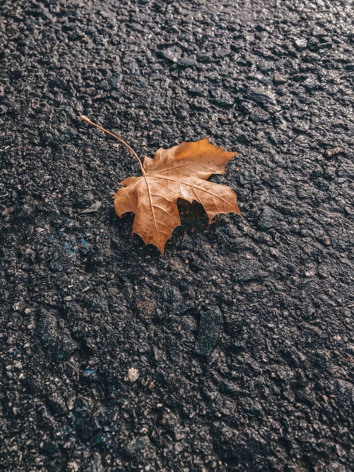 Autumn sheet