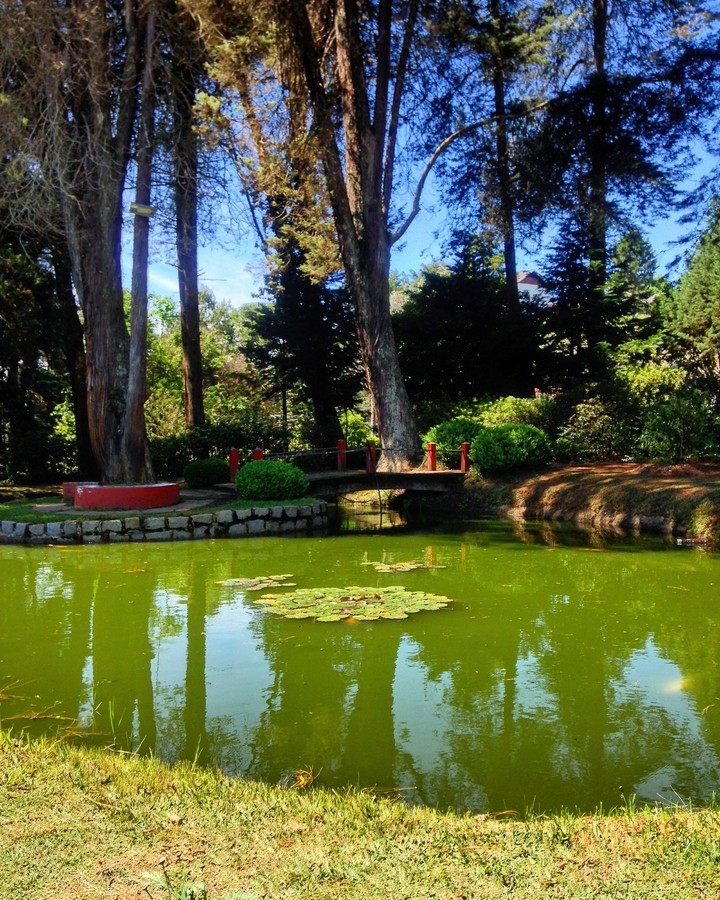 A garden in Campos Do Jordão - Brazil