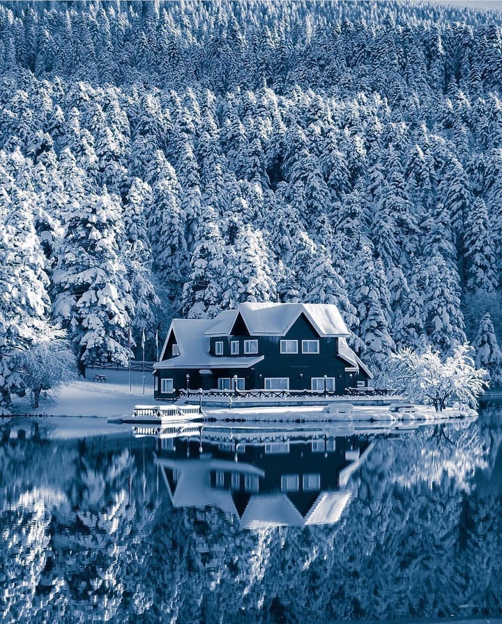 winter