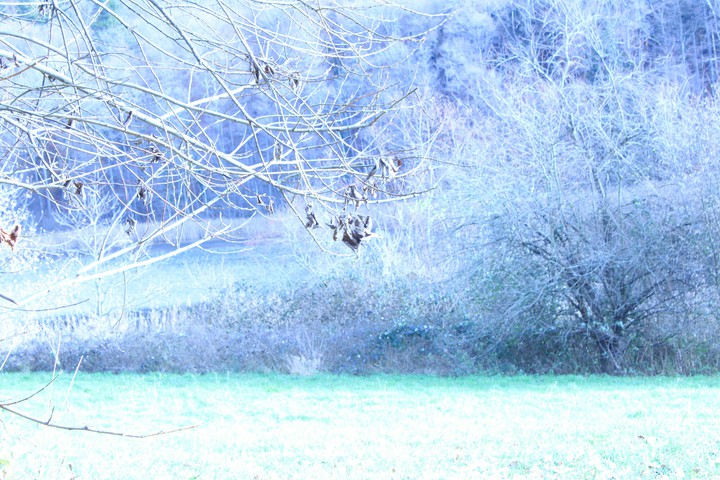 cold