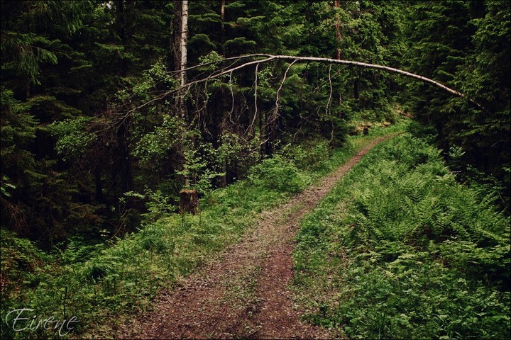 Mysterious path