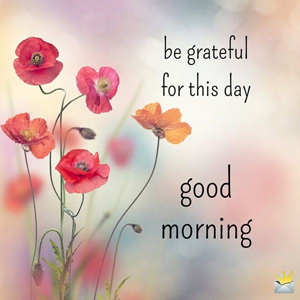 very sweet morning guys...☺☺☺☺