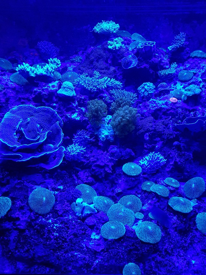 Subsea at Churawumi