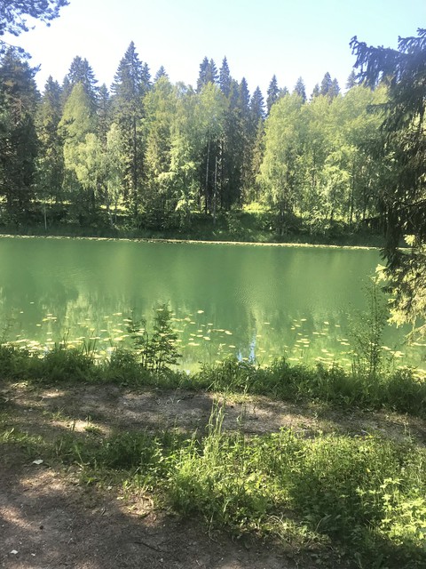 оз. Плесцы