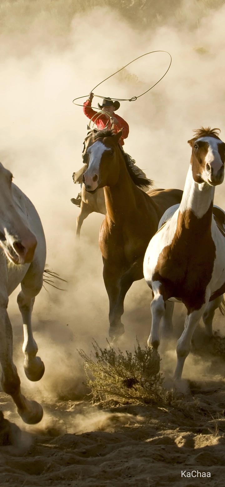 horse riding