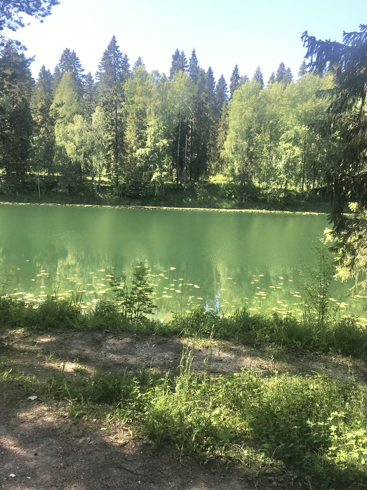 оз. Плесцы