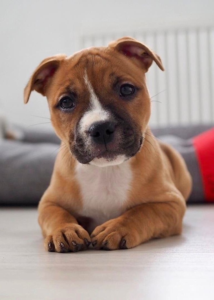 ♥️♥️♥️