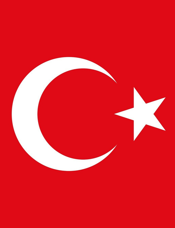 Turkeyanin bayragi