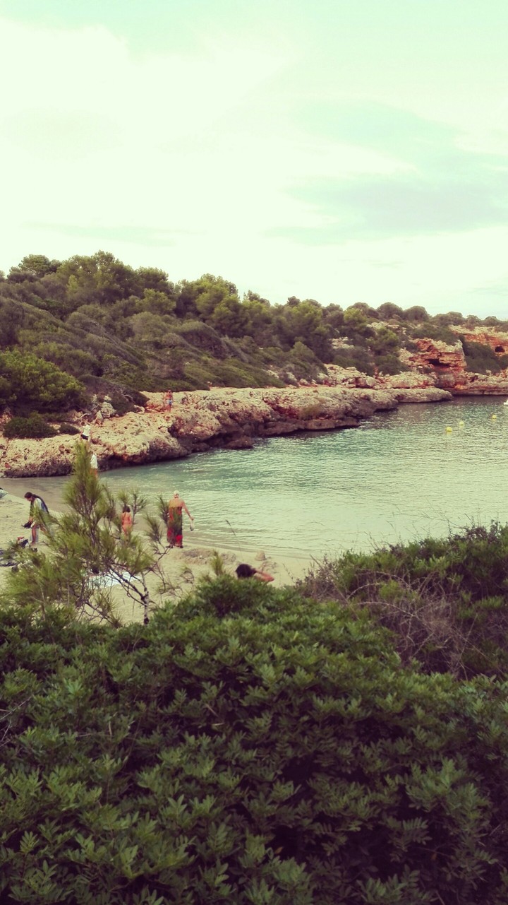 Strand