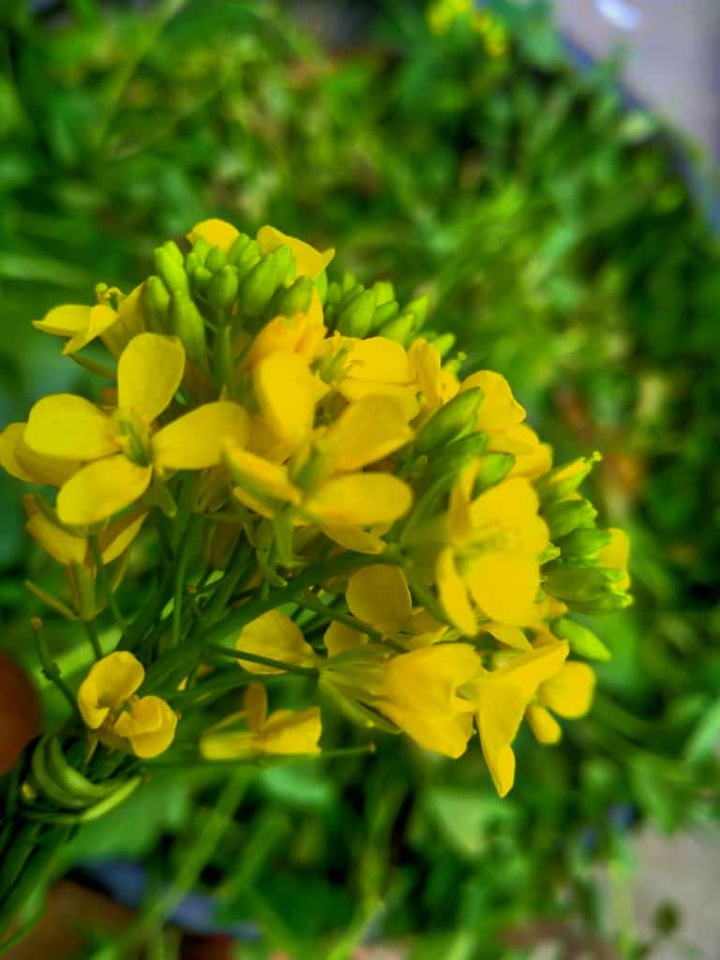 nature love ❤️