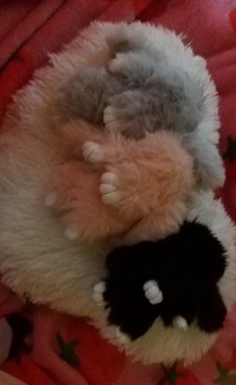 sfondi toy, plush