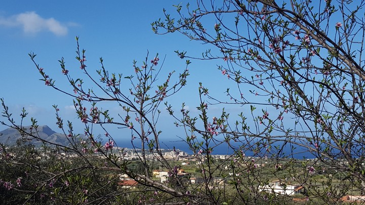 sicily
