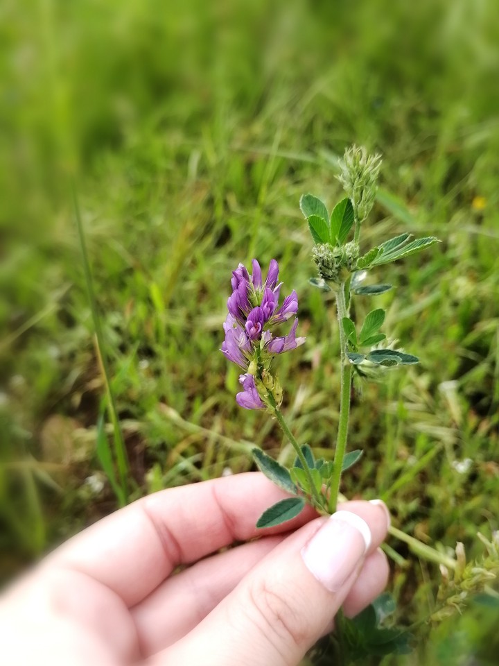 #spring