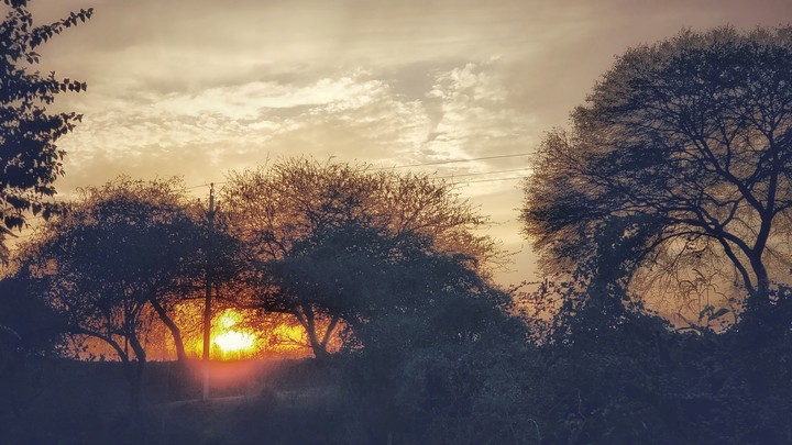 SUNSETS
